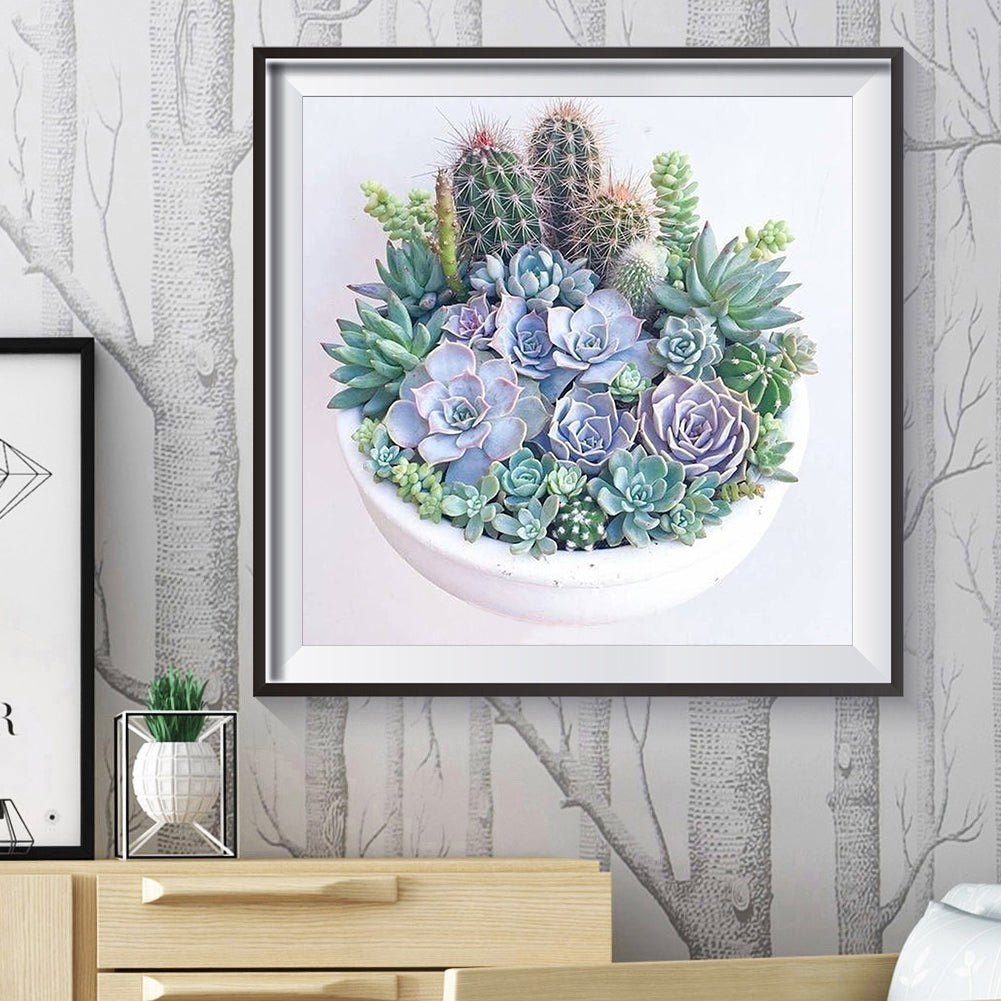 Succulent Plants - Full Round Drill Diamond Painting 30*30CM