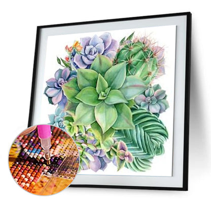 Succulent - Full Round Drill Diamond Painting 30*30CM