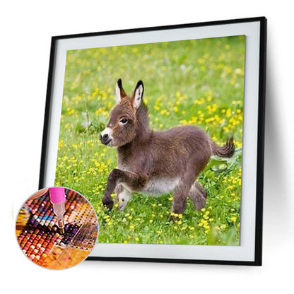 Donkey - Full Round Drill Diamond Painting 30*30CM