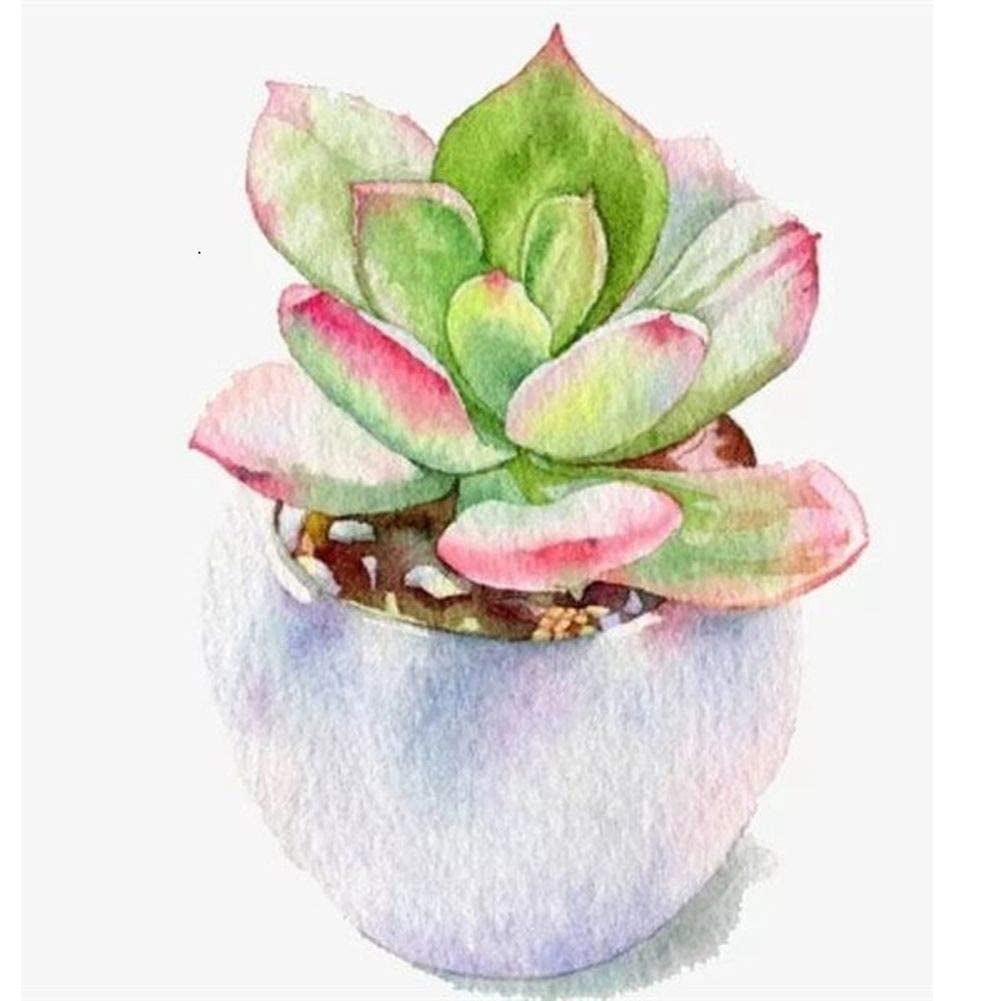 Succulent Plant - Full Round Drill Diamond Painting 30*30CM