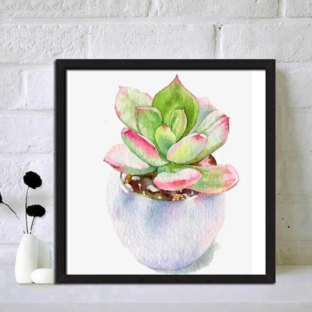 Succulent Plant - Full Round Drill Diamond Painting 30*30CM