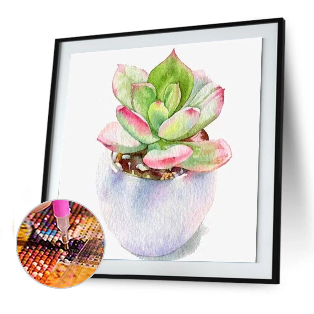 Succulent Plant - Full Round Drill Diamond Painting 30*30CM