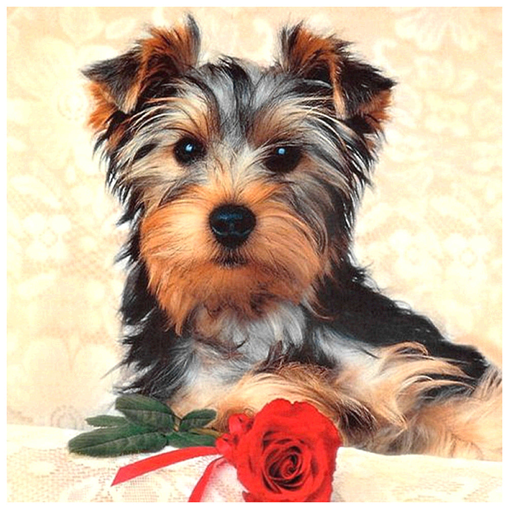 Dog Animal - Full Round Drill Diamond Painting 30*30CM