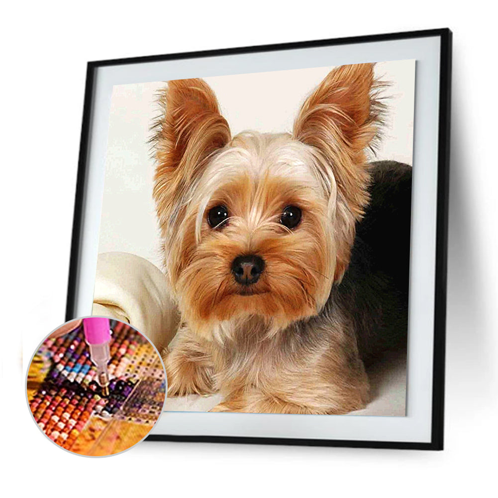 Dog Animal - Full Round Drill Diamond Painting 30*30CM