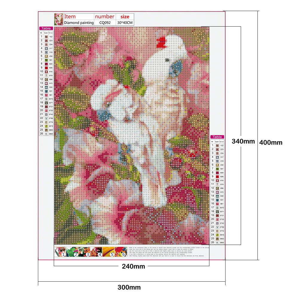 Parrots - Full Round Drill Diamond Painting 30*40CM