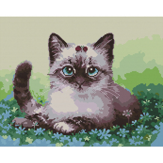 Cats - 14CT Stamped Cross Stitch 39*32CM