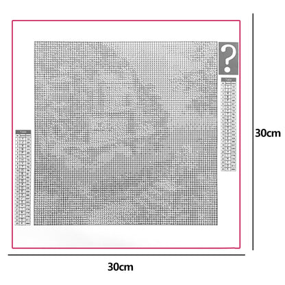 Random - Full Round Drill Diamond Painting 30*40CM