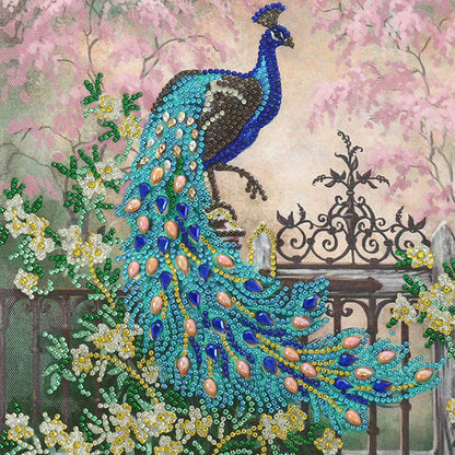 Peacock - Special Shaped Drill Diamodn Painting 30*30CM