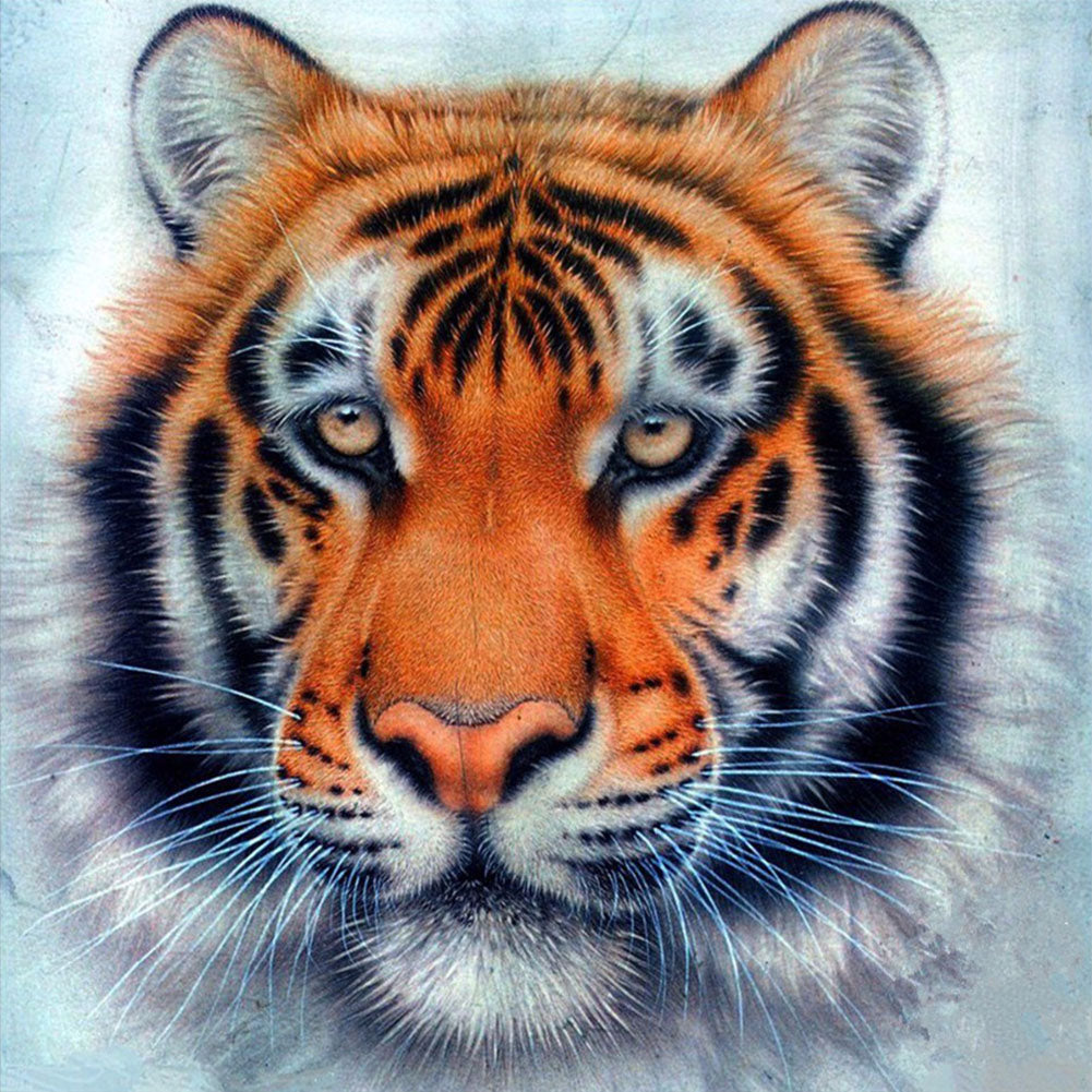 Tiger - Full Round Drill Diamond Painting 30*30CM