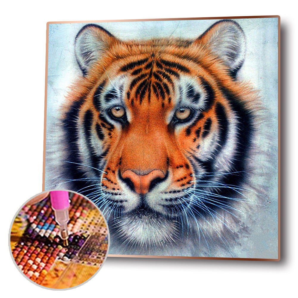 Tiger - Full Round Drill Diamond Painting 30*30CM