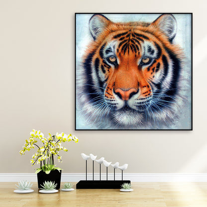 Tiger - Full Round Drill Diamond Painting 30*30CM