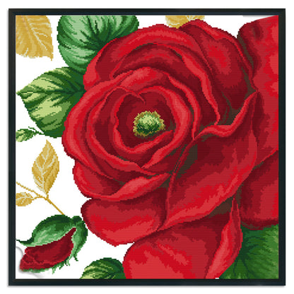 Rose- 14CT Stamped Cross Stitch 48*48CM