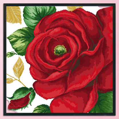 Rose- 14CT Stamped Cross Stitch 48*48CM