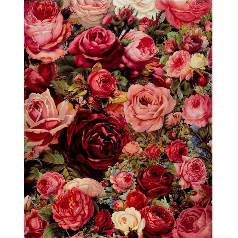 Pink Flowers - 11CT Stamped Cross Stitch 50*70CM