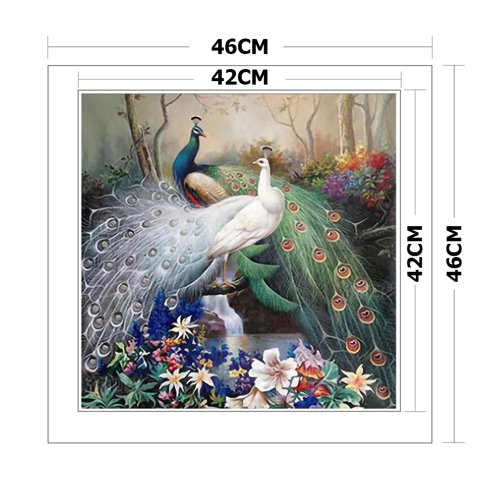 Peafowl - 11CT Stamped Cross Stitch 46*46CM