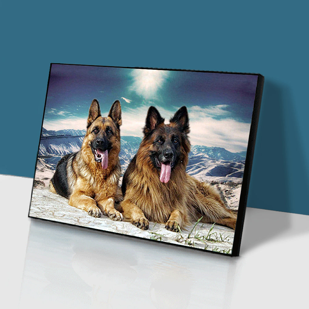 Snowfield Dog - Full Square Drill Diamond Painting 40*30CM