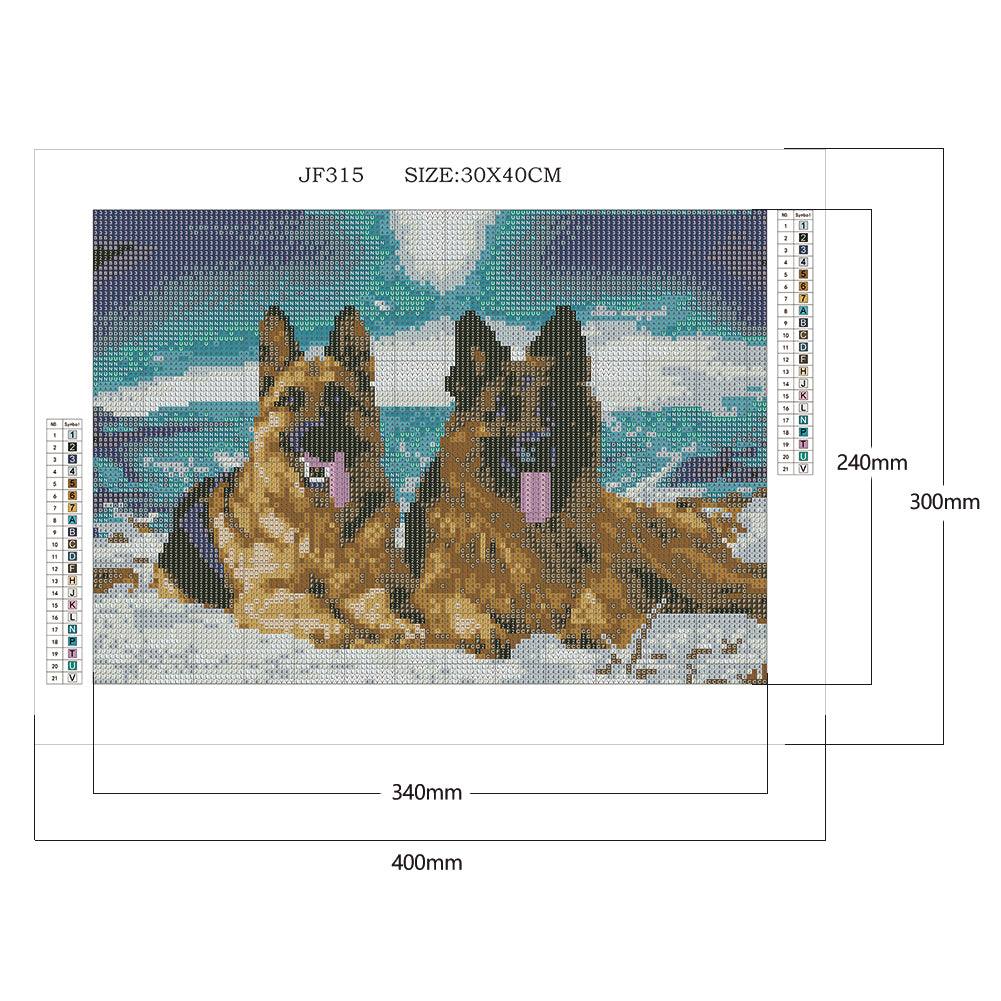 Snowfield Dog - Full Square Drill Diamond Painting 40*30CM