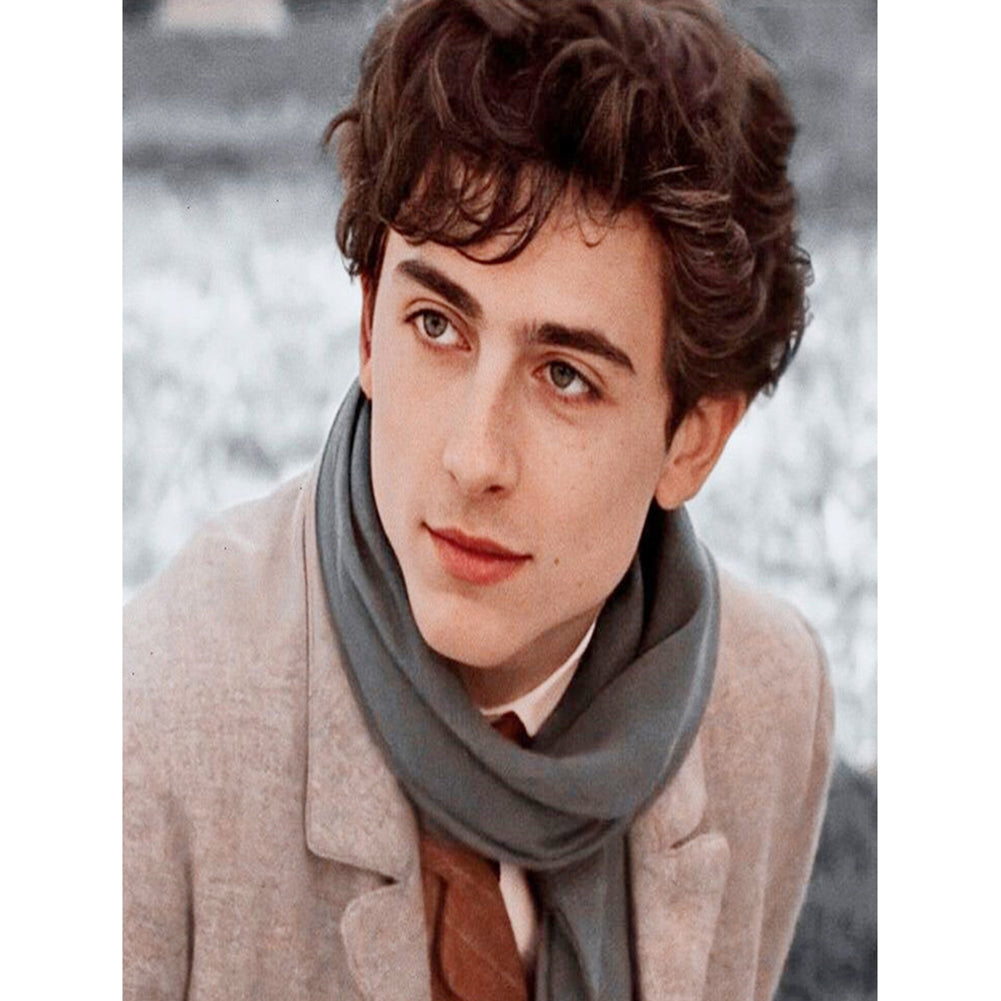 Timothe - Full Round Drill Diamond Painting 40*50CM