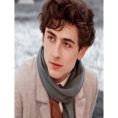 Timothe - Full Round Drill Diamond Painting 40*50CM