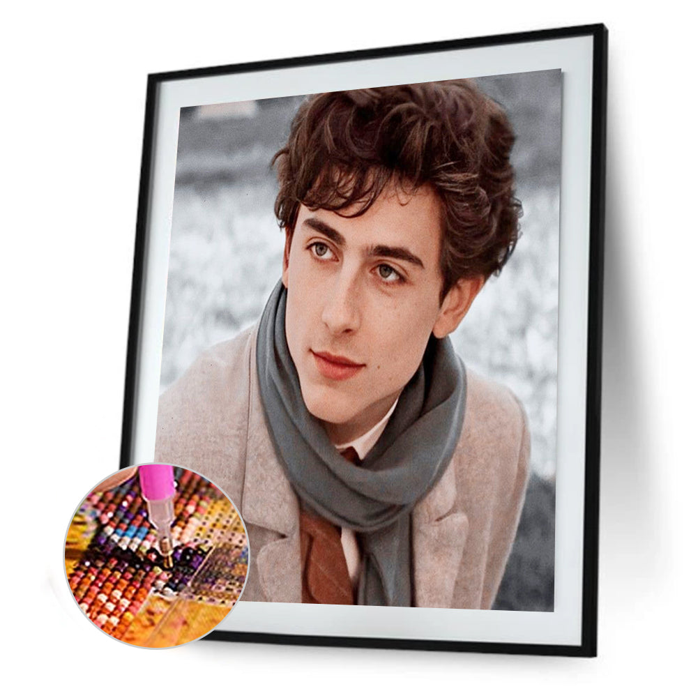 Timothe - Full Round Drill Diamond Painting 40*50CM