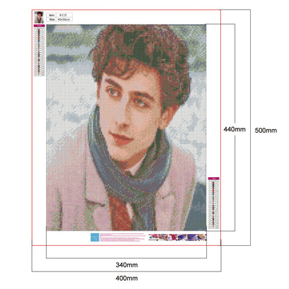 Timothe - Full Round Drill Diamond Painting 40*50CM