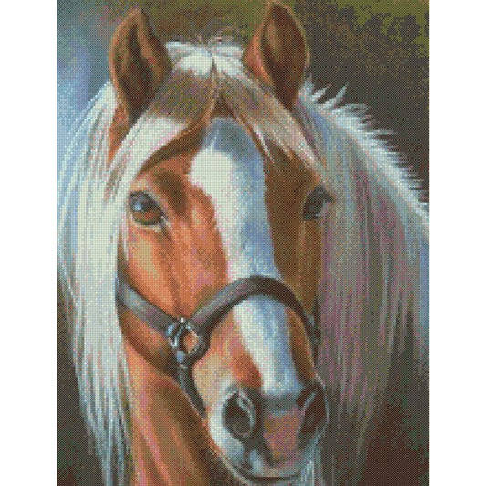 Horse - 11CT Stamped Cross Stitch 30*40CM