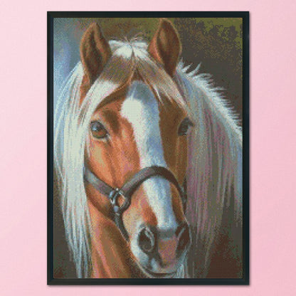 Horse - 11CT Stamped Cross Stitch 30*40CM