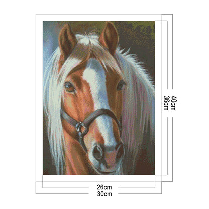 Horse - 11CT Stamped Cross Stitch 30*40CM