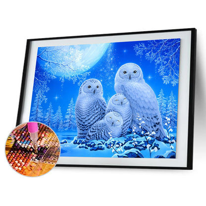 Owl - Full Round Drill Diamond Painting 40*30CM