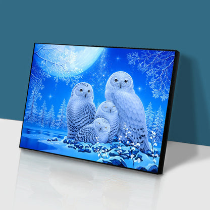 Owl - Full Round Drill Diamond Painting 40*30CM