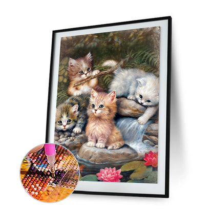 Cat - Full Round Drill Diamond Painting 30*40CM