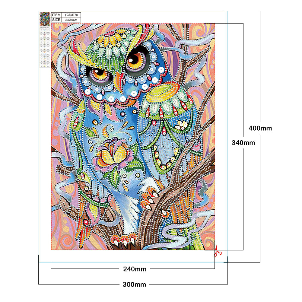 Owl - Special Shaped Drill Diamond Painting 30*40CM