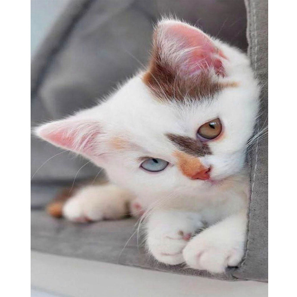 Shy Kitten - Full Round Drill Diamond Painting 30*40CM