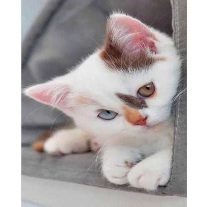 Shy Kitten - Full Round Drill Diamond Painting 30*40CM