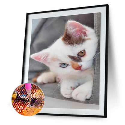Shy Kitten - Full Round Drill Diamond Painting 30*40CM