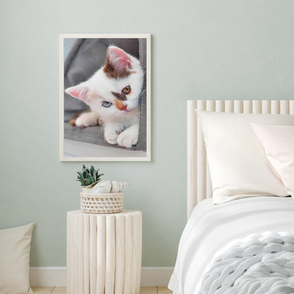 Shy Kitten - Full Round Drill Diamond Painting 30*40CM