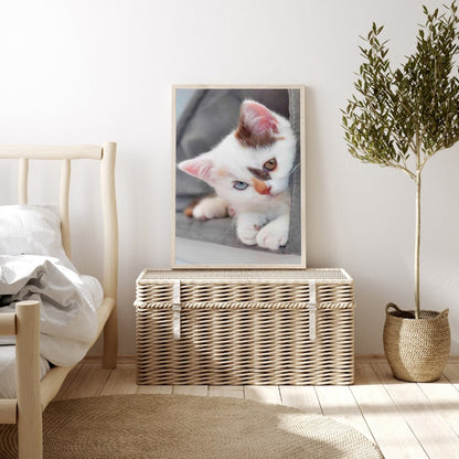 Shy Kitten - Full Round Drill Diamond Painting 30*40CM