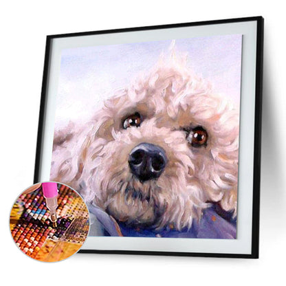 Dog - Full Round Drill Diamond Painting 30*30CM