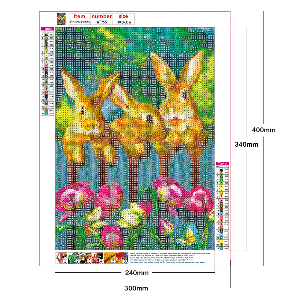 Rabbit - Full Round Drill Diamond Painting 30*40CM