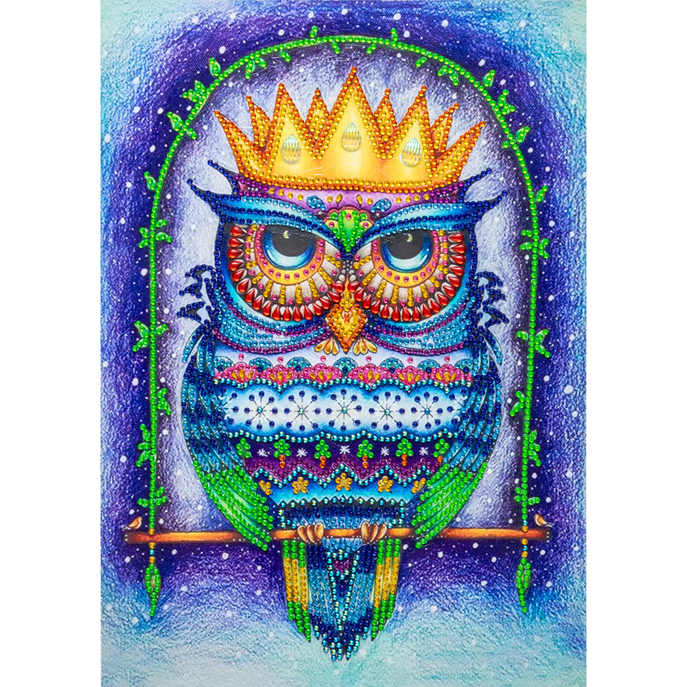 Owl - Special Shaped Drill Diamond Painting 30*40CM