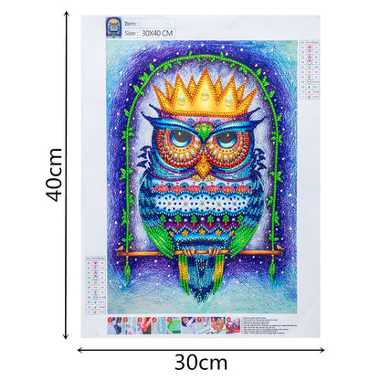 Owl - Special Shaped Drill Diamond Painting 30*40CM