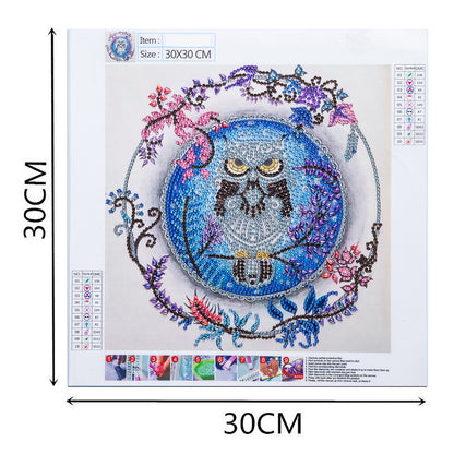 Owl - Special Shaped Drill Diamond Painting 30*30CM