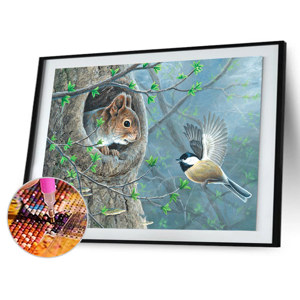 Squirrel Bird - Full Round Drill Diamond Painting 40*30CM