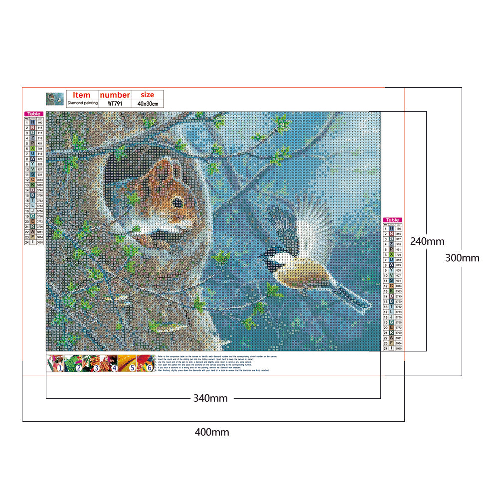 Squirrel Bird - Full Round Drill Diamond Painting 40*30CM