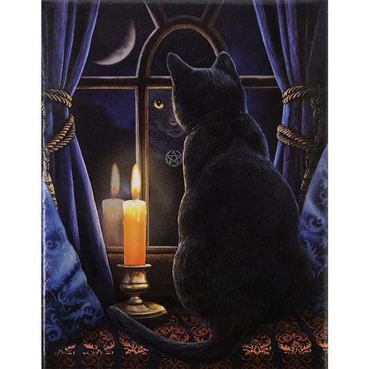 Black Cat - Full Round Drill Diamond Painting 40*50CM