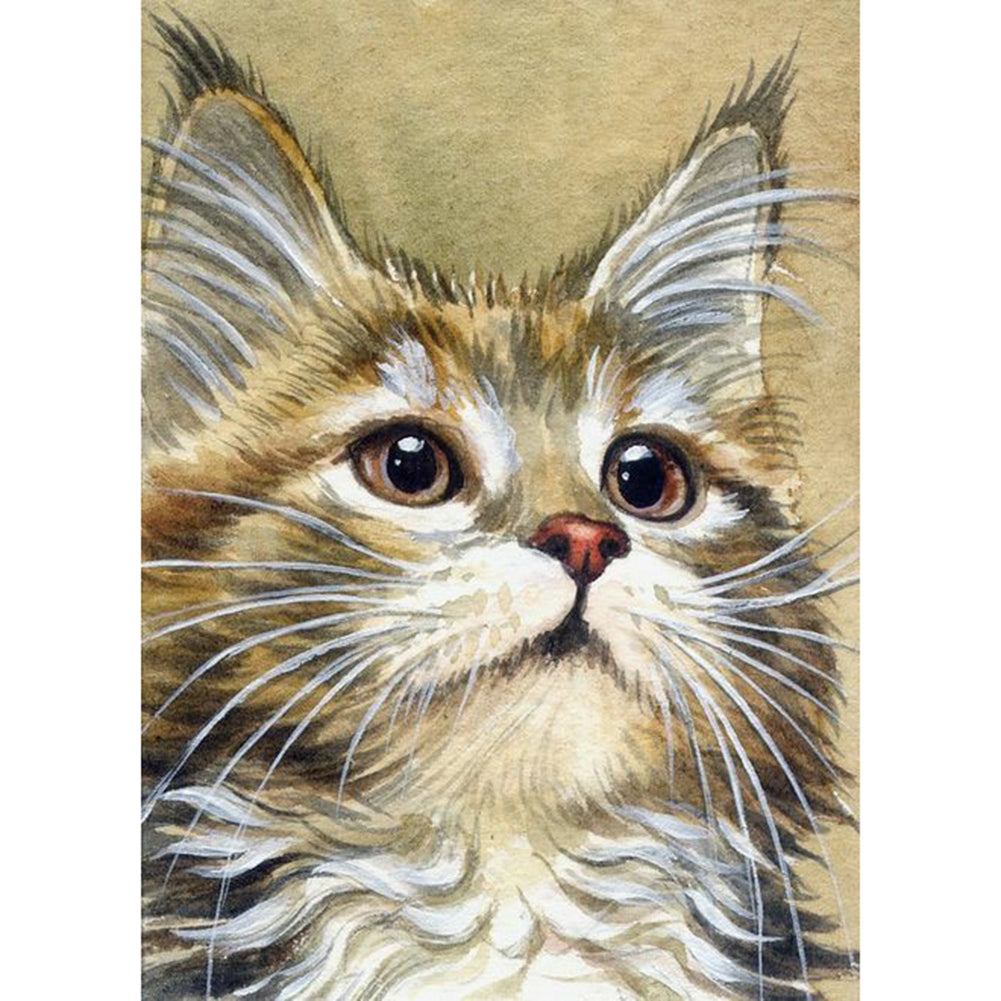 Cat - Full Round Drill Diamond Painting 30*40CM