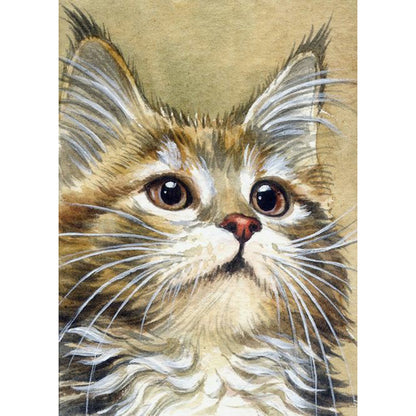 Cat - Full Round Drill Diamond Painting 30*40CM