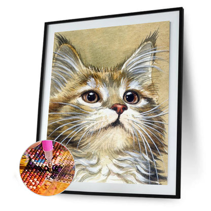 Cat - Full Round Drill Diamond Painting 30*40CM