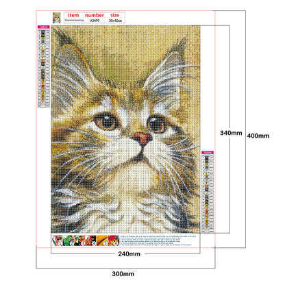 Cat - Full Round Drill Diamond Painting 30*40CM