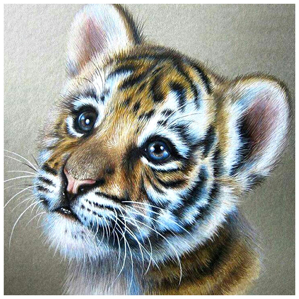 Tiger - Full Square Drill Diamond Painting 30*30CM